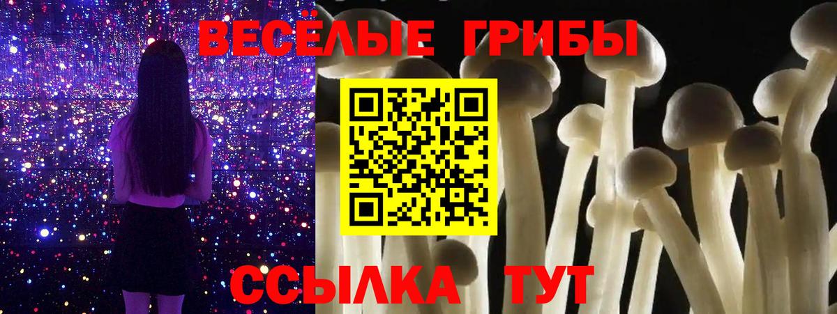 Галлюциногенные грибы Psilocybine cubensis Новочеркасск