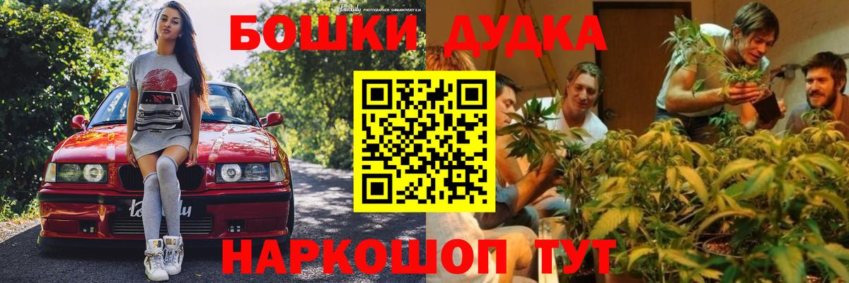 Каннабис OG Kush Новочеркасск